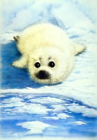 Seal