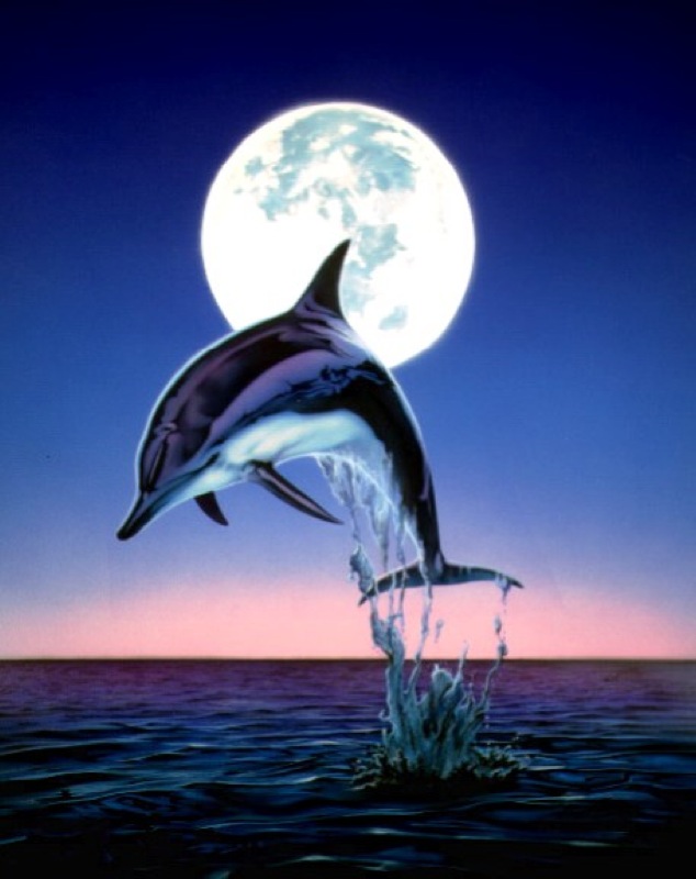 Moonlight Dolphin