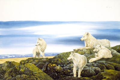 Arctic Wolves