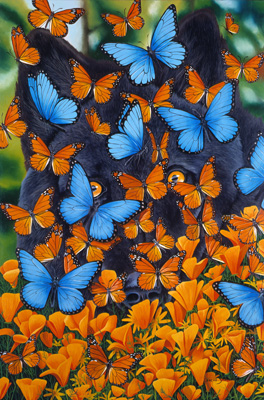 Autumn Butterflies