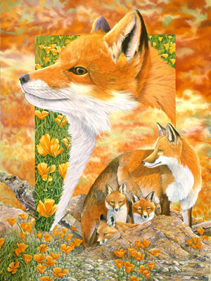 Foxes