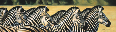 Zebras