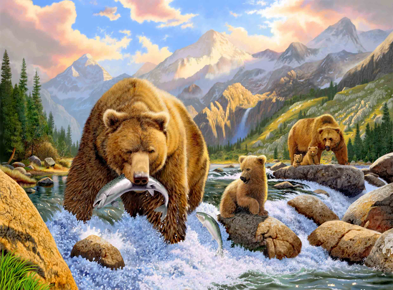 Bear Salmon Fishing