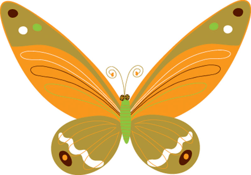 Orange Butterfly