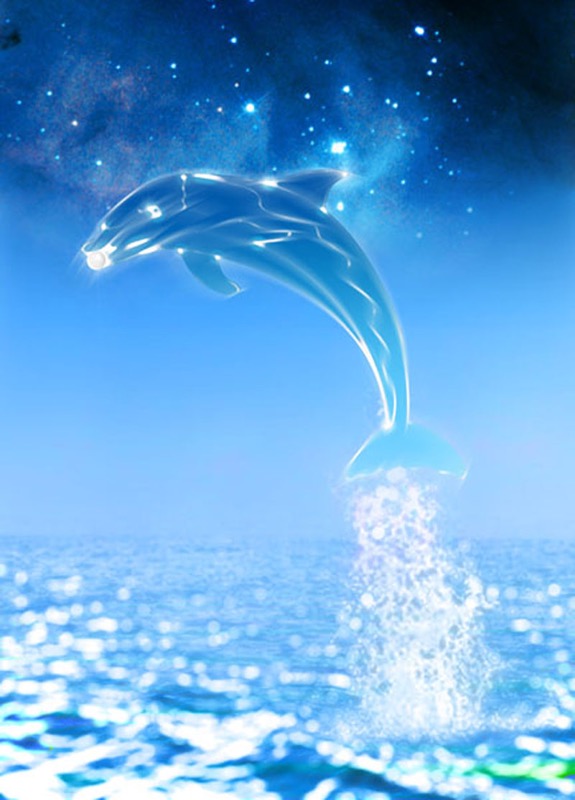 Dolphin