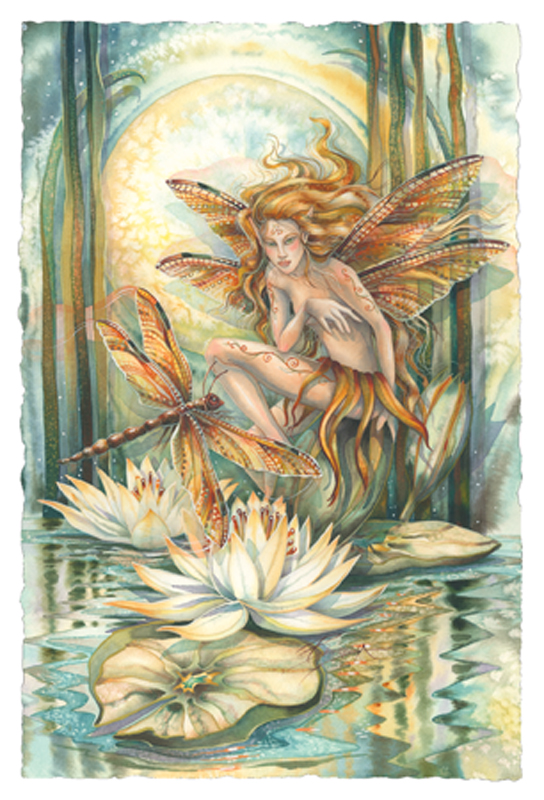 Lilly Pad Fairy (752)