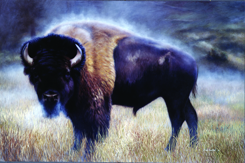 NPI – 425 Buffalo