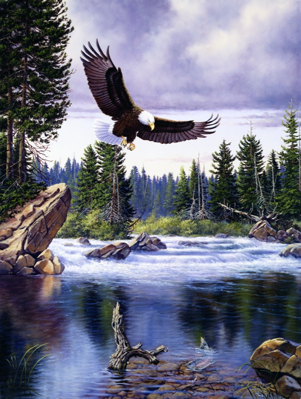 11314 – NPI-2120-Nature’s Medley Eagle.jpg