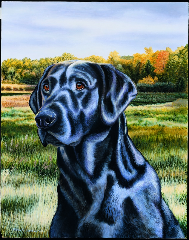 NPI-2609-Black Lab