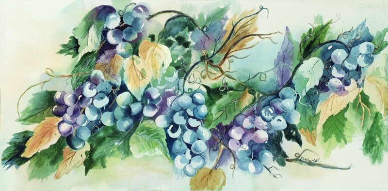 NPI-10015-Harvest Grapes