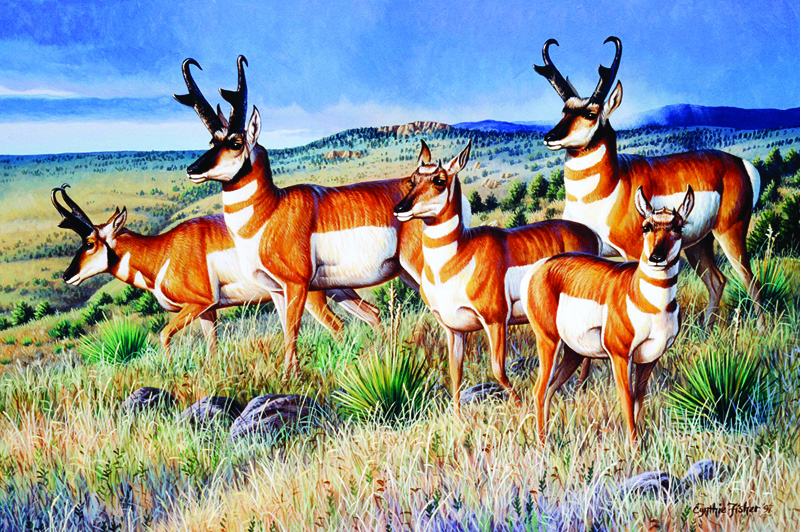 NPI-0002-Pronghorn Group