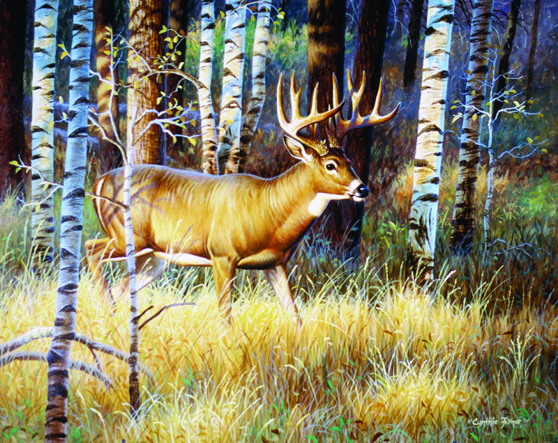 NPI-0017-Single Whitetail