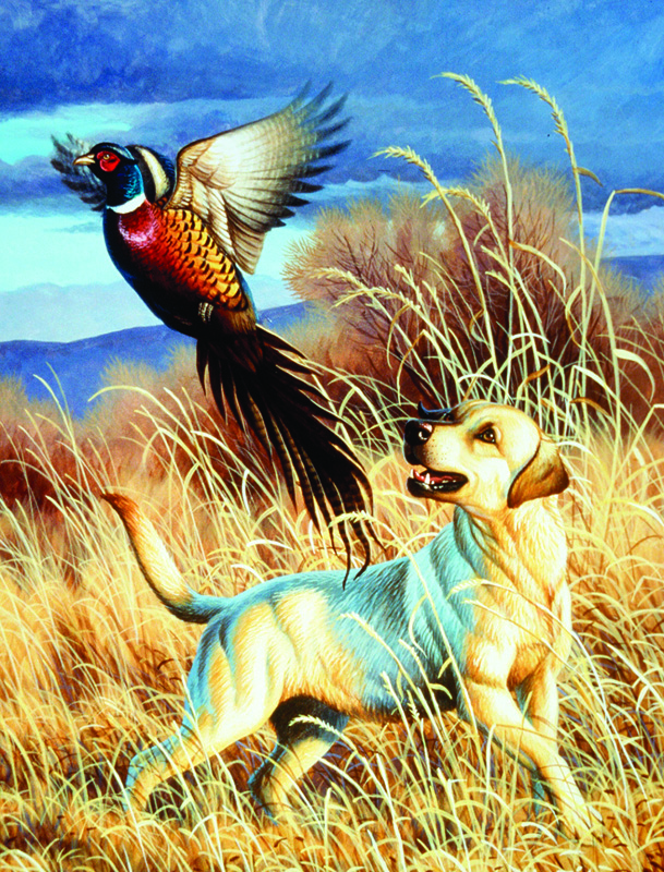 NPI-0027-Dog and Pheasant