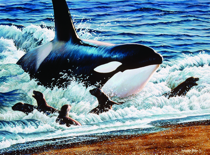 NPI-0051-Orcas on the Beach.jpg