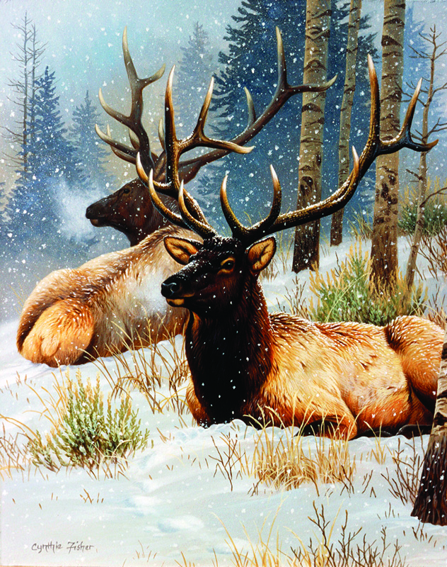 NPI-0056-Two Elk Bulls in Snow.jpg