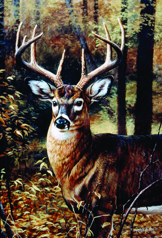 NPI-0060-Whitetail.jpg