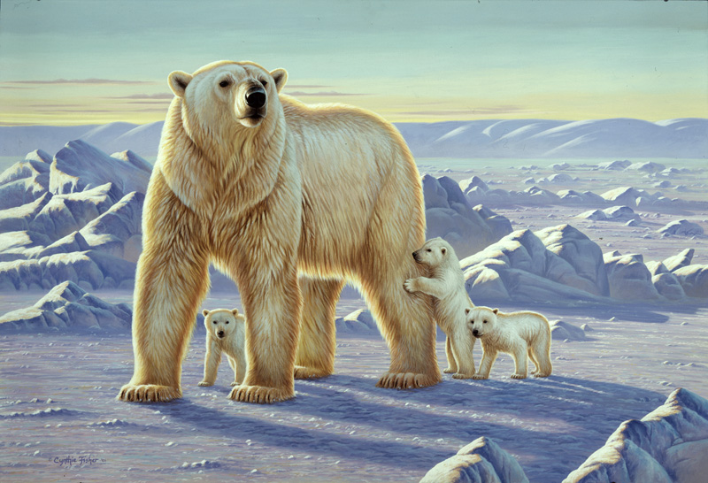 NPI-0073-Polar Bear with Cubs.jpg