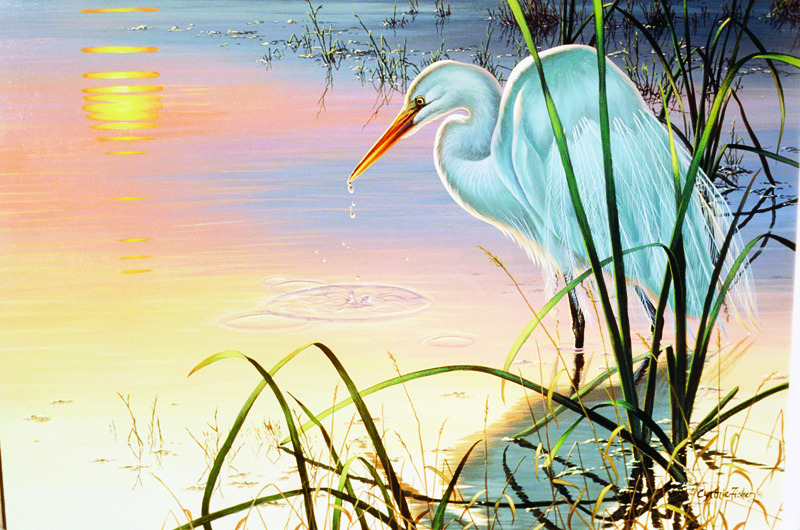 NPI-0077-Egret.jpg