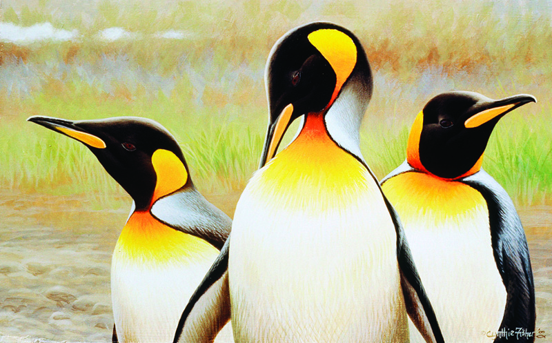 NPI-0078-Penguins.jpg