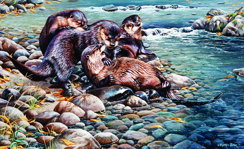 NPI-0081-Otters Playing.jpg