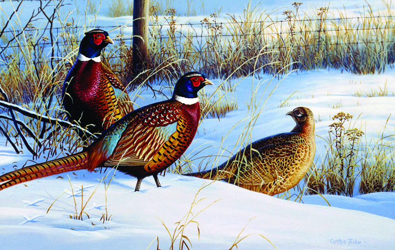 NPI-0083-Three Pheasants in Snow.jpg