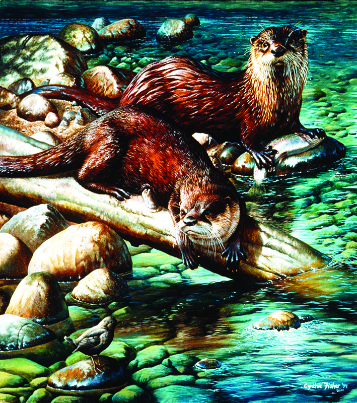 NPI-0093-Otters for the Bank.jpg