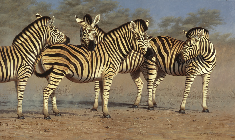 NPI-0098-Zebra Group.jpg