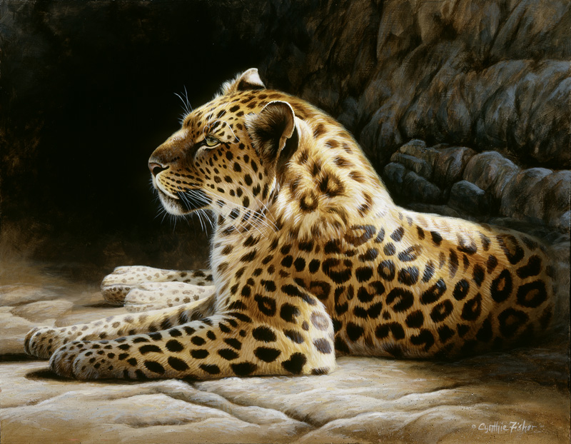 NPI-0104-Leopard on Rock.jpg