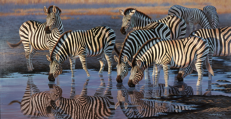 NPI-0106-Zebras at Waterhole III.jpg