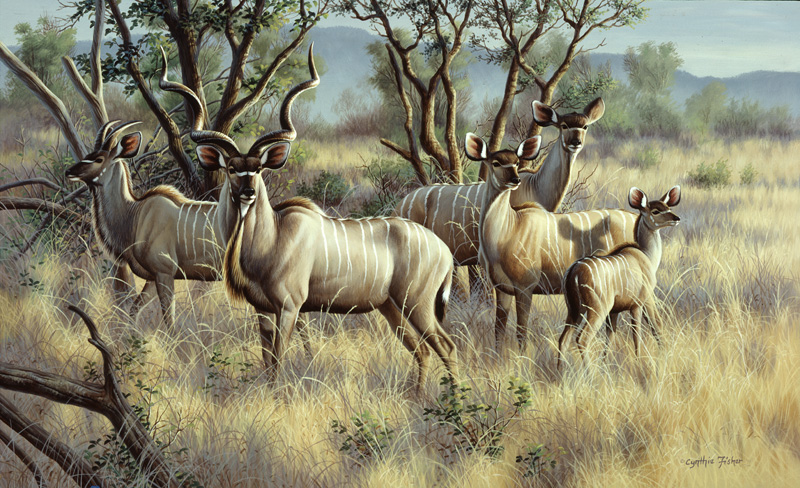 NPI-0111-Kudu Family.jpg