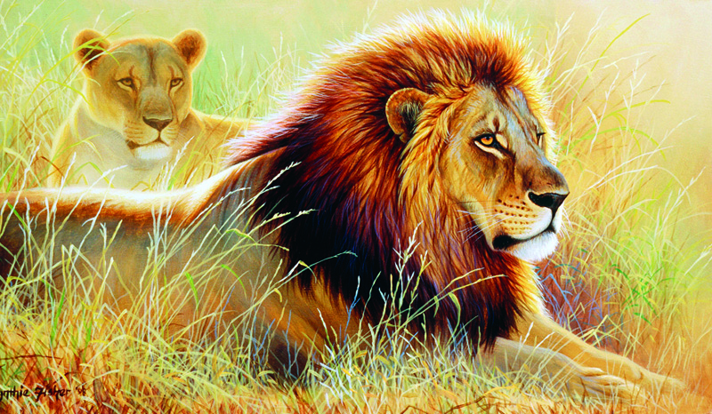 NPI-0113-Lion and Lioness.jpg