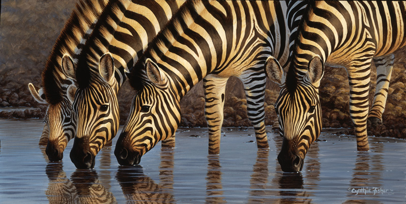 NPI-0114-Zebras at Waterhole II.jpg