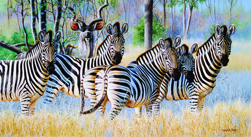 NPI-0136-Zebra and Kudu.jpg