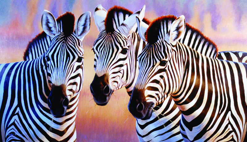 NPI-0139-Big Zebra Heads.jpg