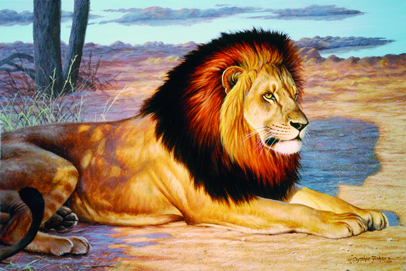 NPI-0141-Single Lion.jpg