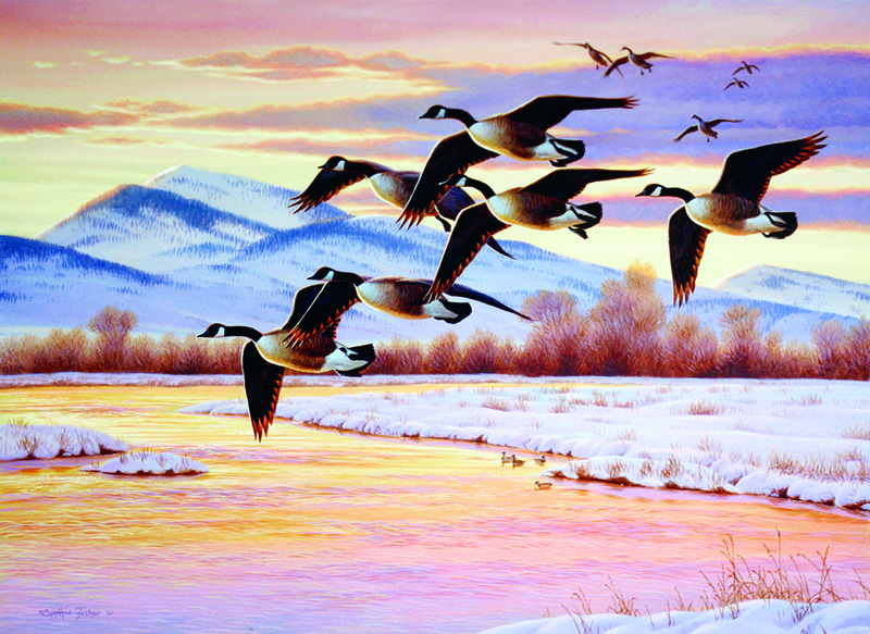 NPI-0142-Sunrise Geese in Flight.jpg