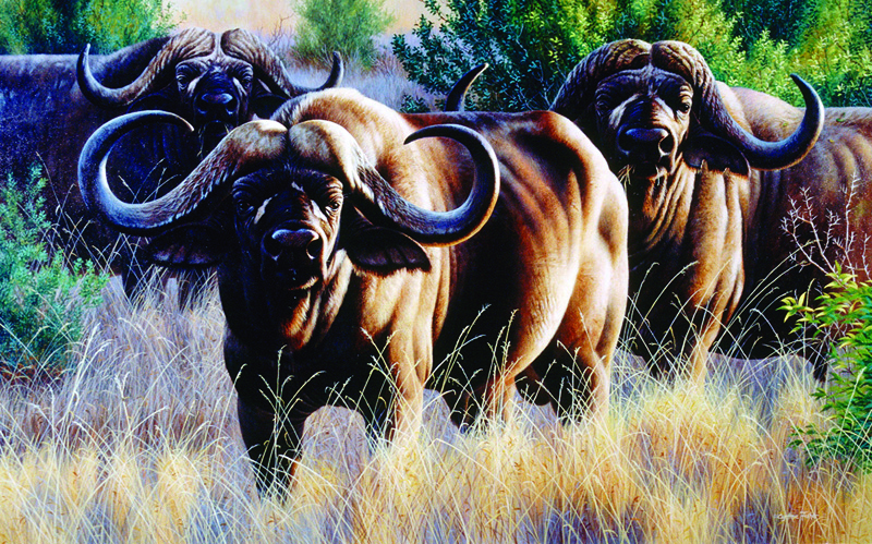 NPI-0144-Three Big Buffalo.jpg