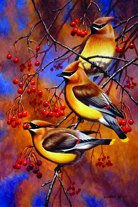 NPI-616-Cedar Waxwings.jpg