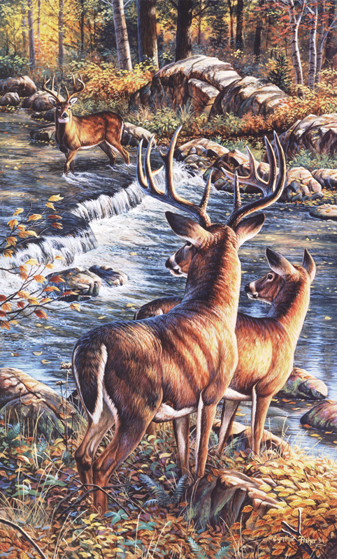 NPI-807 Deer Creek Crossing.jpg