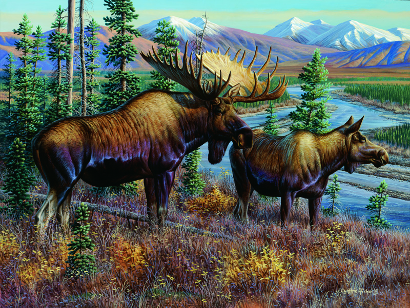 NPI-853-Alaskan Royalty.jpg