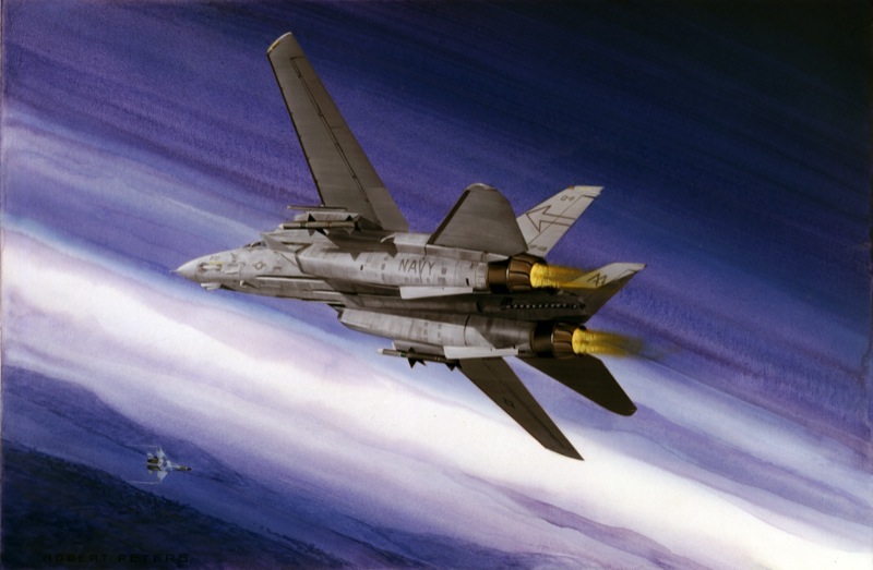 NPI-2758-Tomcat to the Kill.jpg