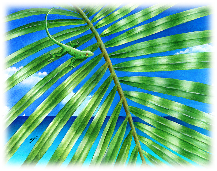 Paradise Frond