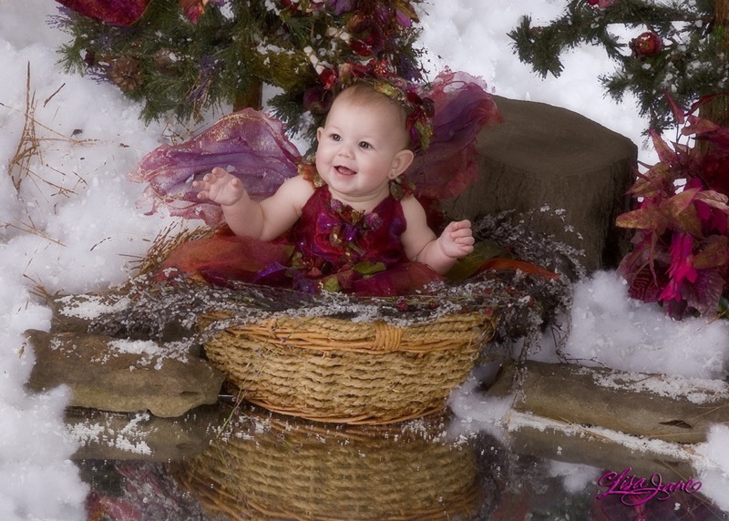 Sugar Plum Basket