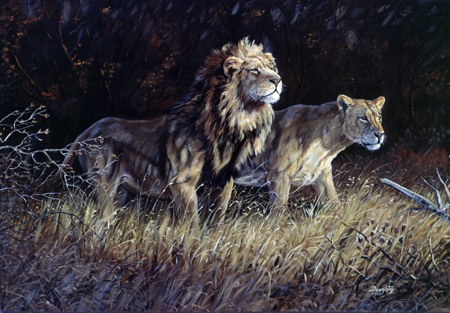 NPI-968-Lions