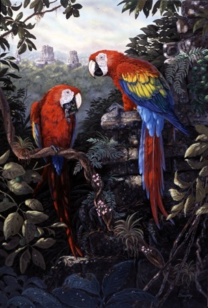 NPI-970-Macaws Red