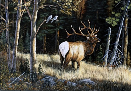 NPI-19036-Elk