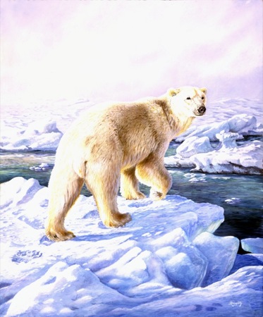 NPI-19040-Polar Bear