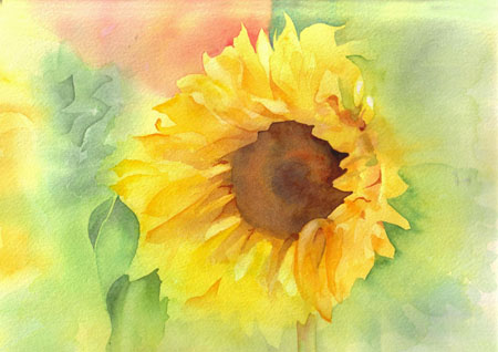 Gentle Sunflower