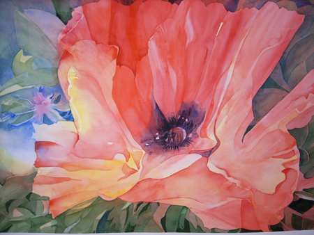 Poppy Sunshine1