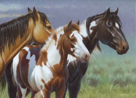 NPI-21490052-Paint Horse and Foal